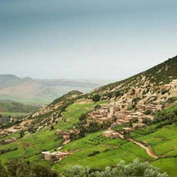 PARKS & GREEN SPACES